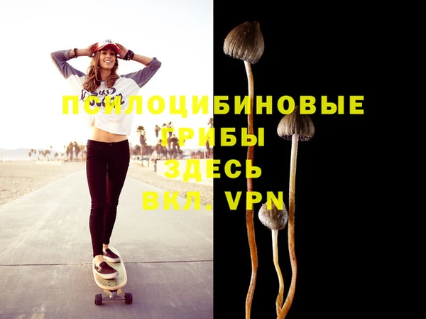первитин Лиски
