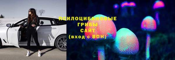 а пвп мука Липки