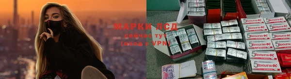 скорость Бикин