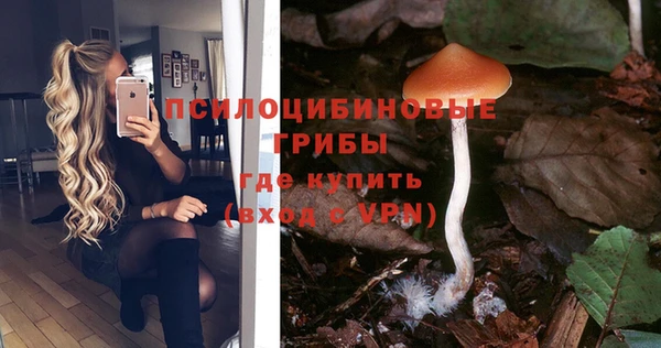 хмурый Магадан