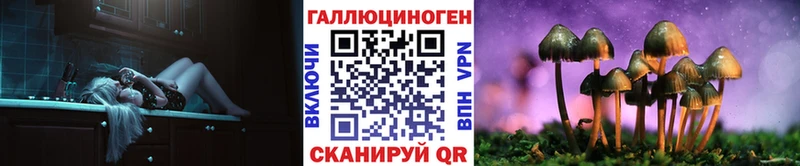 Псилоцибиновые грибы Cubensis  Купить закладки  Мончегорск 